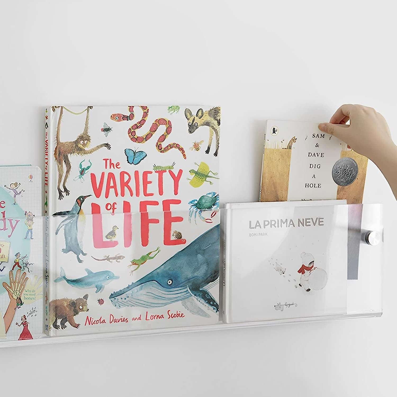 ROYALITA 2-Pack Acrylic Magazine Holder Brochure Holder, 24" Record Holder Magazine Rack, Fashion Hanging Bookshelf Literature Storage Rack for Waiting Room, Living Room, Office, Clear 24 Inch