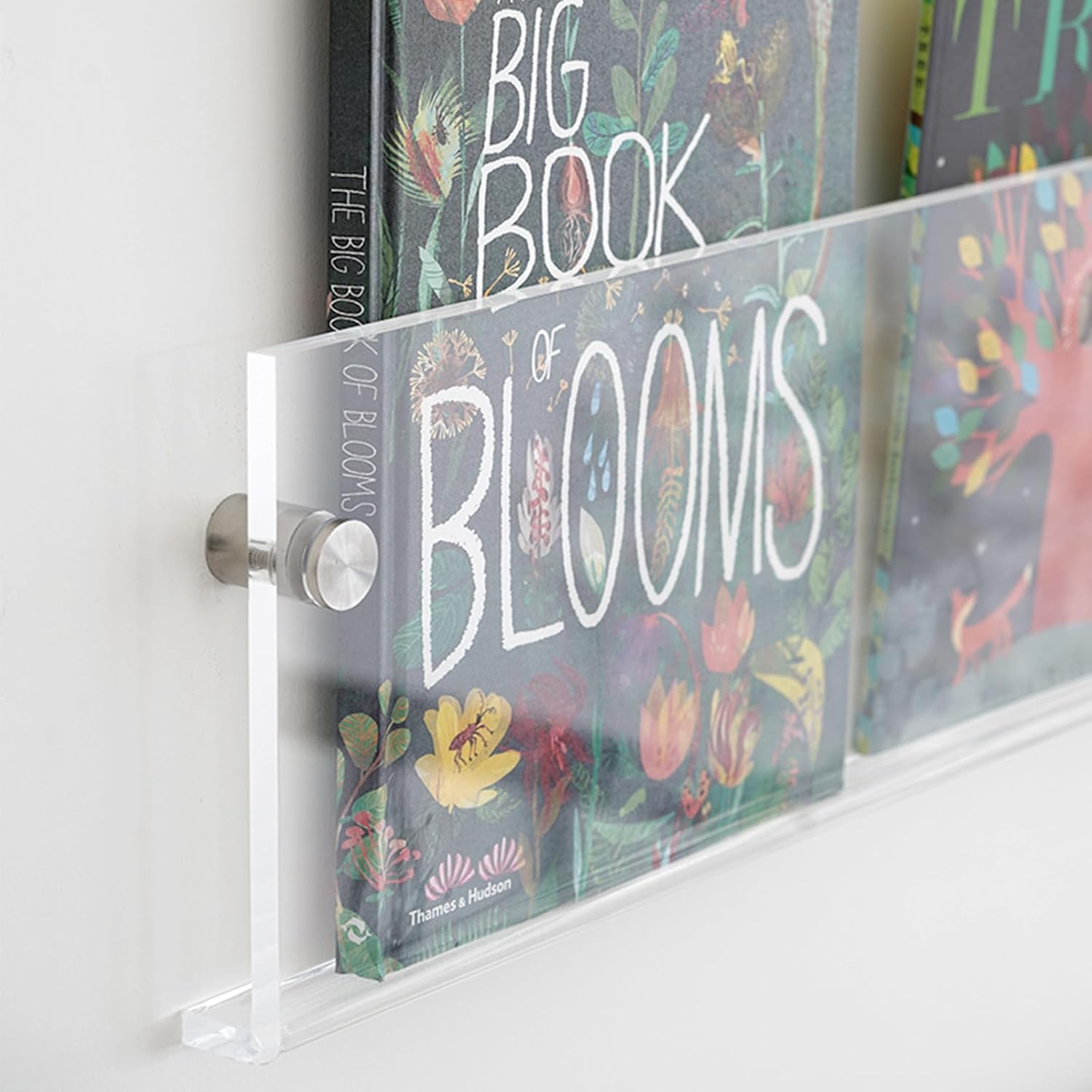 2-Pack Acrylic Magazine Holder Vinyl Records Holder, Display Floating Bookshelves Wall Mounted, Nursery Book Shelves Wall Decor Hanging Magazine Holder for Waiting Room, Living Room, Office